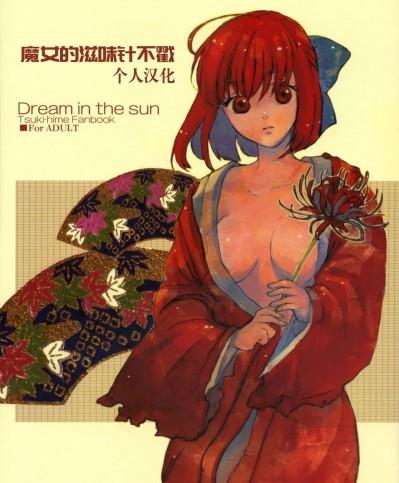 [魔女的滋味针不戳个人汉化] [相原乙女 (山田ニョリコ)] Dream in the sun (月姫) [中国翻訳]