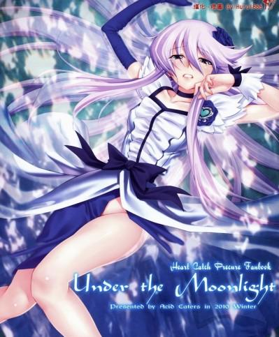 [ACID EATERS (和馬村政)] (C79) Under the Moonlight (ハートキャッチプリキュア!) [中]