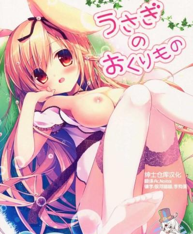 [紳士倉庫漢化] (C86) (同人誌) [Brown sugar (宮阪なこ)] うさぎのおくりもの (オリジナル)